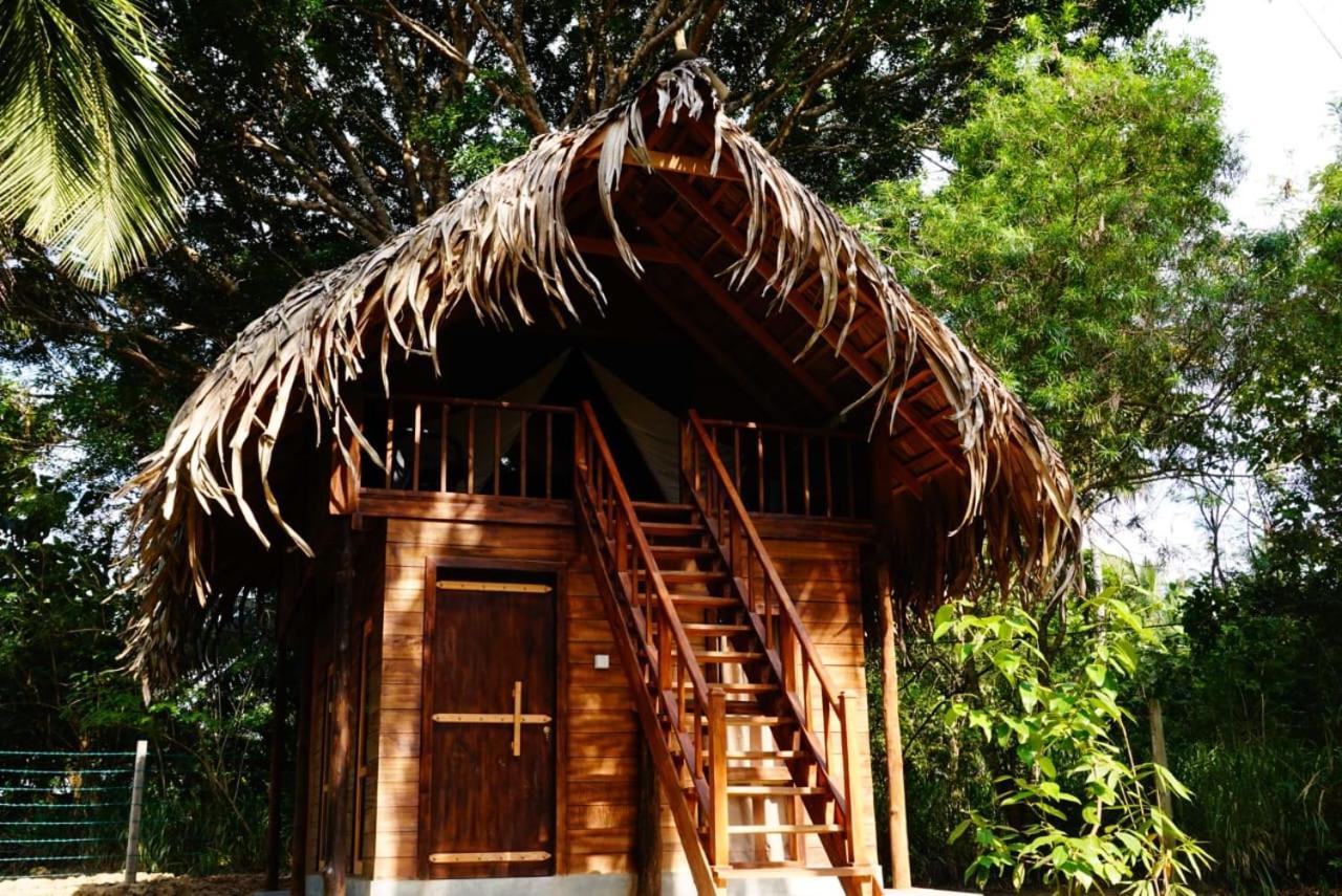 Jungle View River Camping Udawalawe Ngoại thất bức ảnh