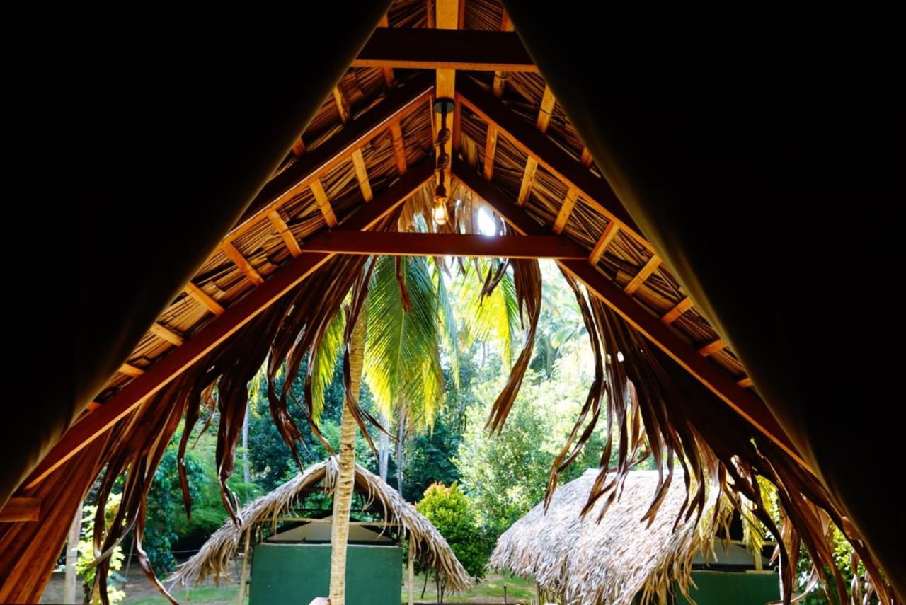 Jungle View River Camping Udawalawe Ngoại thất bức ảnh