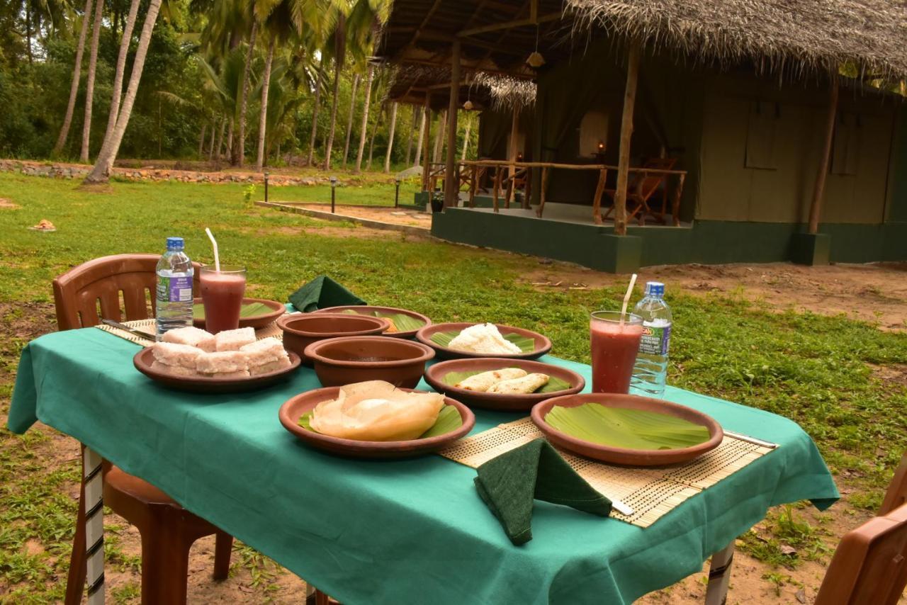 Jungle View River Camping Udawalawe Ngoại thất bức ảnh