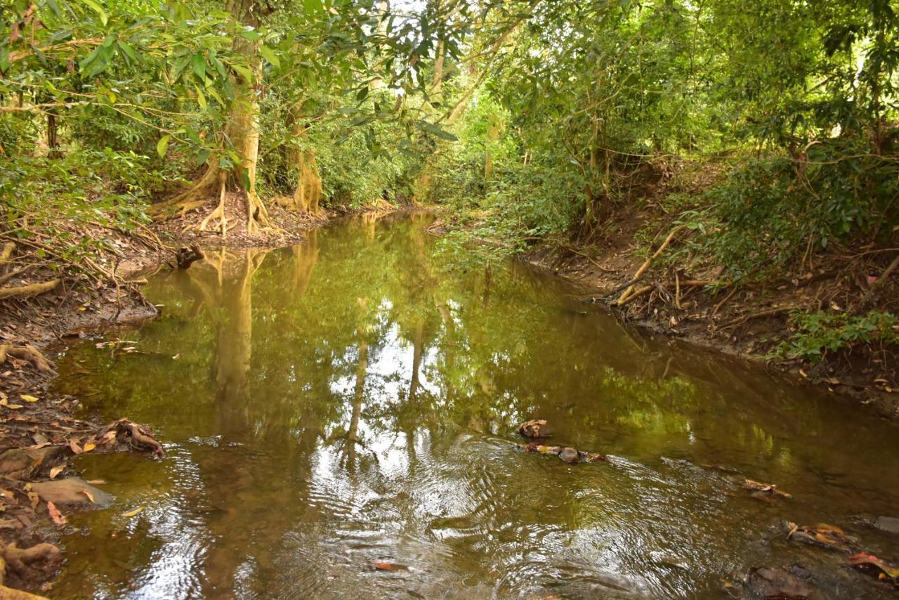 Jungle View River Camping Udawalawe Ngoại thất bức ảnh